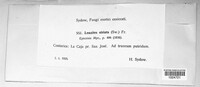 Image Associated With the Occurence